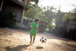 奔向阳光的图片,奔向阳光的壮丽旅程